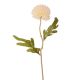 Dandelion selyemvirág szál, 38cm magas - Ekrü  AF056-02