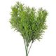 Hamvas aszparágusz csokor- vastaglevelű- 38cm magas