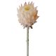 Protea selyemvirág szál- 60.5cm magas - Pezsgő