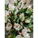 ALST  EC WHITE