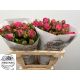 R TR PINK PIANO FREILAND 60CM