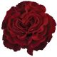 R EC7 HEARTS *25