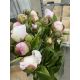 ZZ HU PAEO GARDENIA (RSZ-FE)