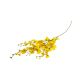 Selyemvirág oncidium 102cm sárga