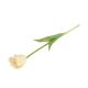 Selyemvirág tulipán cirmos gumi 41cm fehér