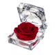 ZZ A TARTÓSRÓZSA JEWEL RED 01