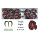 ANTH A TROPIC NIGHT *10