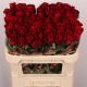 R GR EVER RED 70CM