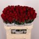 R GR EVER RED 70CM