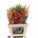 HELICONIA BOEKET
