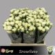 R TR4 SNOWFLAKE