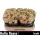 R TR SUSHI 60CM