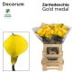 ZANT GOLD MEDAL 60CM