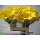 ZANT OV - YELLOW 60CM