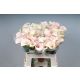 ZANT CAPT ROSETTE 60CM