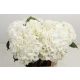 HYDR M WHITE VERENA 60CM