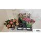 HYDR M 5+ PINK