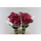 ZANT CAPT ROMANCE 70CM