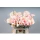 ZANT CAPT ROSETTE 60CM
