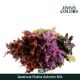 QUERC RUB OV KLB H% - MIX HERFST