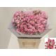 R TR KATE-LYNN PINK 60CM