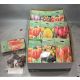 HAGYMA TULIPAN *40
