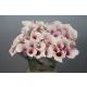 ZANT CAPT ROSETTE 80CM