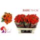 R TR BABE 70CM