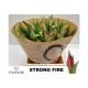 TU EN STRONG FIRE