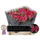 R TR ROSE BONBON! 60CM