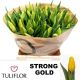 TU EN STRONG GOLD